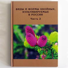 Виды и формы хвойных, культивируемых в России (Часть 2)