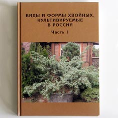 Виды и формы хвойных, культивируемых в России (Часть 1)